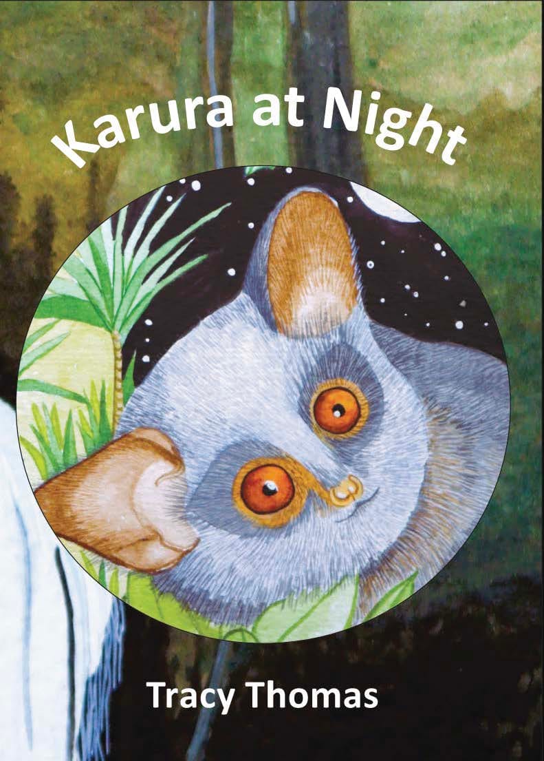 Cover of Karura at Night