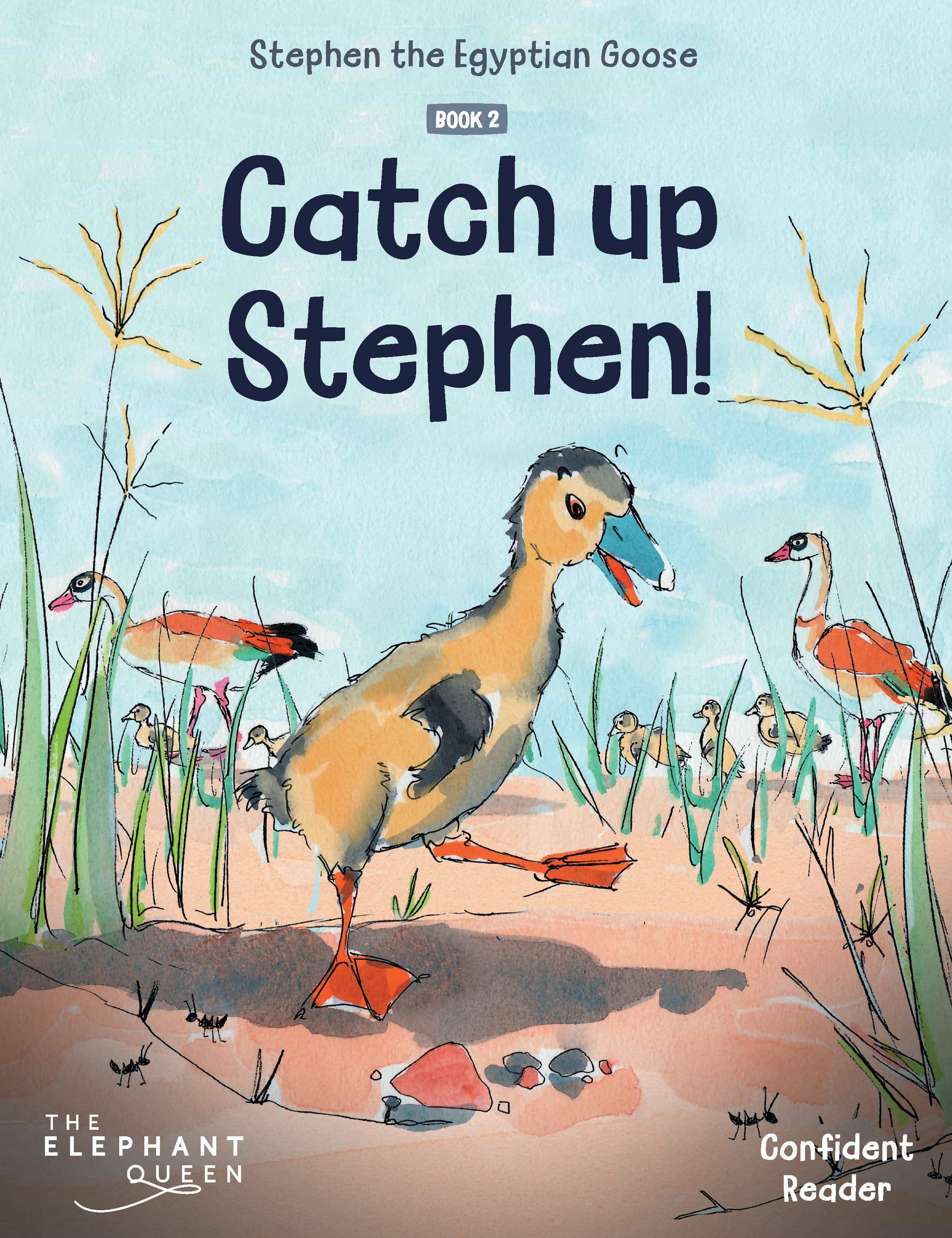 Cover of Stephen the Egyptian Goose: Catch up Stephen!