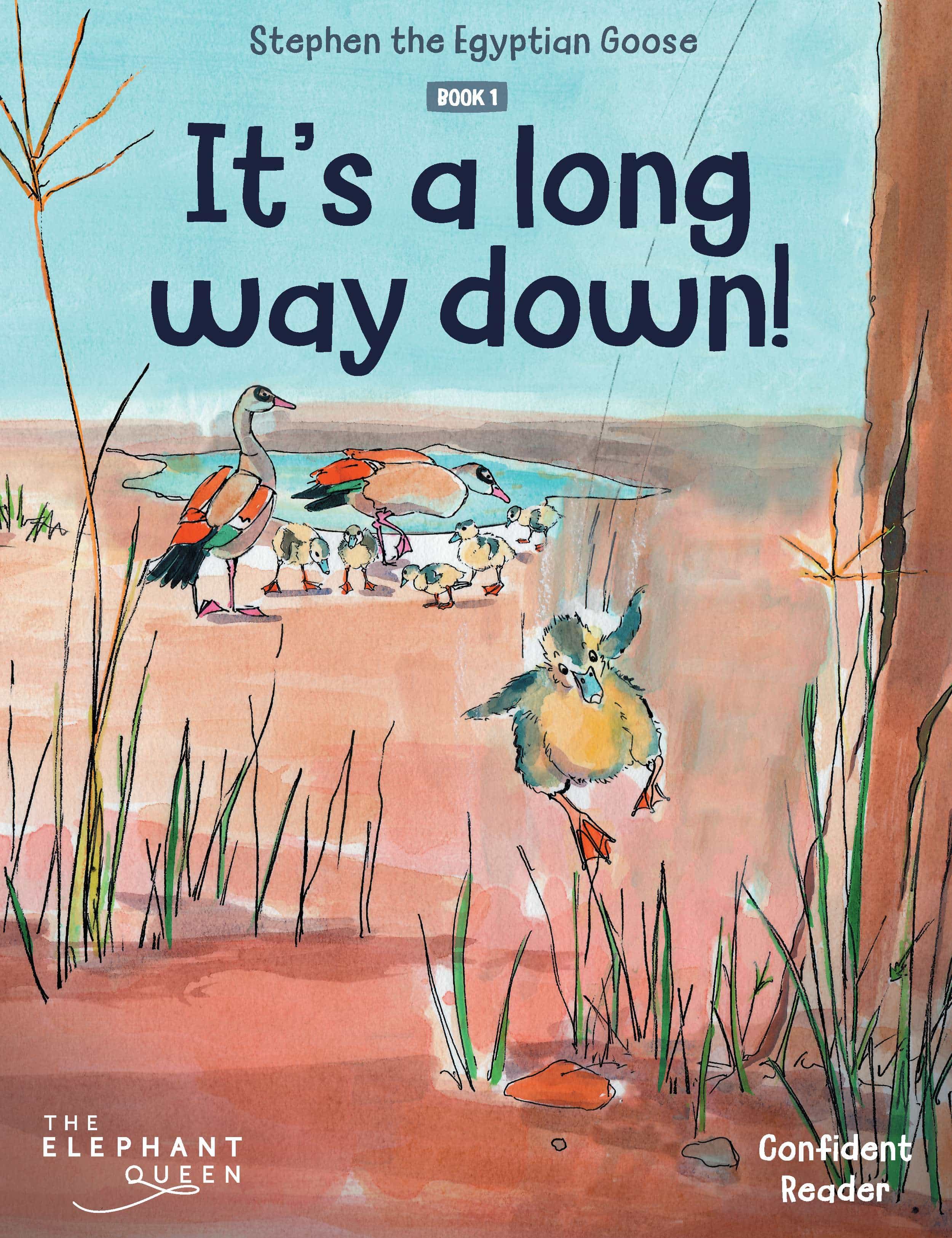 Cover of Stephen the Egyptian Goose: It's a Long Way Down!